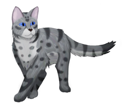This is cinderheart, one of the best warriors!